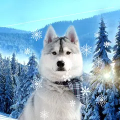 Descargar APK de Cute Winter Wallpaper