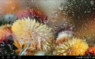 Скачать Осенние Цветы Живые Обои APK