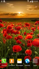 Autumn Flowers Live Wallpaper APK 下載