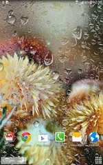 Autumn Flowers Live Wallpaper APK 下載