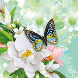 Butterflies Live Wallpaper icône