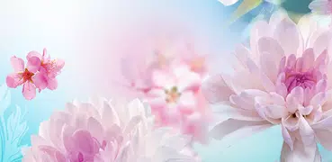 Flowers Live Wallpaper