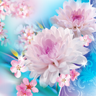 Flowers Live Wallpaper icône