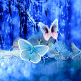 Abstract Butterflies Wallpaper icône
