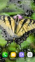 Macro Butterfly Live Wallpaper Affiche