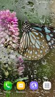 2 Schermata Macro Butterfly Live Wallpaper