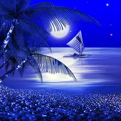 Night Beach Live Wallpaper APK download