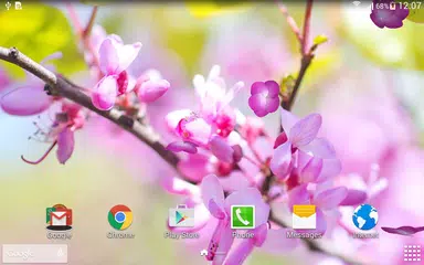 Descargar APK de Sakura Garden Live Wallpaper