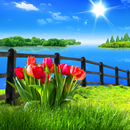 Spring Live Wallpaper-APK