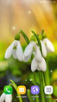 Spring Flowers Live Wallpaper ポスター