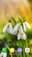 Spring Flowers Live Wallpaper الملصق