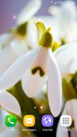 Spring Flowers Live Wallpaper スクリーンショット 2