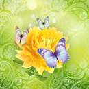 Cute Butterfly Live Wallpaper APK