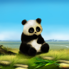 Panda Live Wallpaper icône