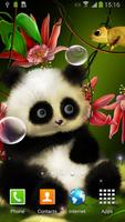 Panda Live Wallpaper Affiche