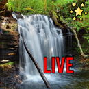 Waterfall Live Wallpaper 2019  APK