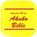 Bible Stories in Igbo Language APK