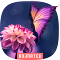 LIVE Wallpaper - Animated Wallpaper