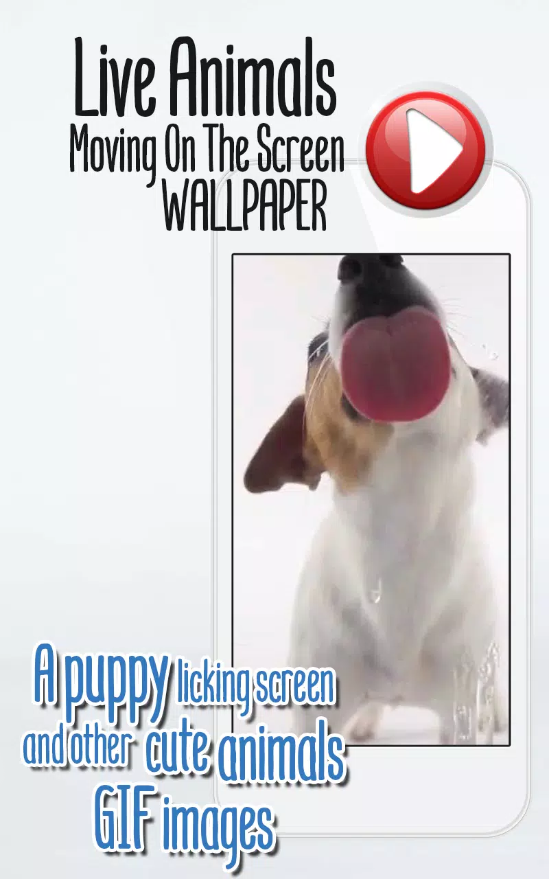 Descarga de APK de Fondos De Pantalla Animales Tiernos para Android Descarga de APK de Fondos De Pantalla Animales Tiernos para Android