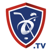Hockeyfrance.tv icône