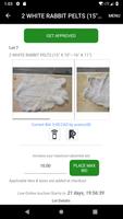 Schmalz Auctions Screenshot 1