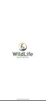 WLP Spring and Fall Auctions poster