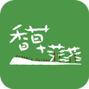 香草菲菲 APK