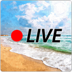 Beach Live Cams