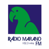 Rádio Marano FM APK