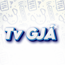 TV  GJA APK
