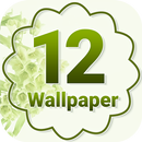 Android 12 Wallpaper 2021 APK