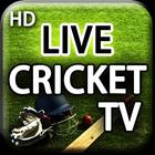Live Cricket Score, Cricket TV icône