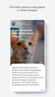 LiveJournal скриншот 2