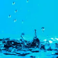 Water Drops Live Wallpaper APK  for Android – Download Water Drops Live  Wallpaper APK Latest Version from 