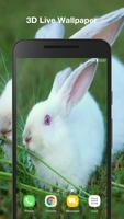 Cute Bunny Live Wallpaper poster