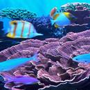 Ocean Fish Live Wallpaper APK