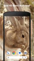 Rabbit Live Wallpaper capture d'écran 2