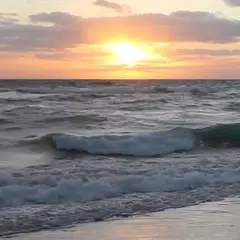 Real Beach Live Wallpaper XAPK download