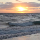 Icona Reale Spiaggia Sfondo Animato