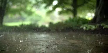 本当の雨 アニメーションの壁紙