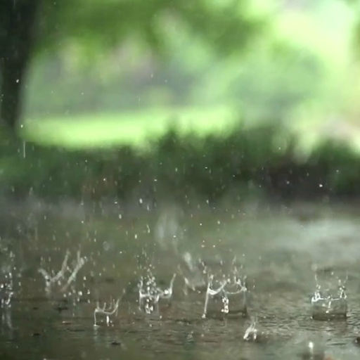 Real Rain Live Wallpaper