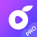 Berry Chat Pro icon