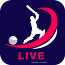 Big bash cricket league 2022 APK