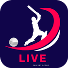Big bash cricket league 2022 icon