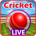 Live Cricket - BD Tri-series 2019 圖標