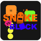Snake Vs Block-crash biểu tượng