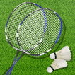 3D Pro Badminton Championship - Sports Game