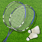 Icona 3D Pro Badminton Championship - Sports Game