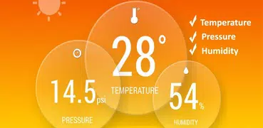 Local Temperature: Thermometer