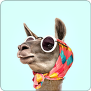 karikatür Lllama duvar kağıdı HD APK